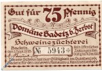 Notgeld Domäne Badetz , 75 Pfennig Nr 1 , Mehl Grabowski 59.1 , von 1918 , Sachsen Anhalt Serien Notgeld